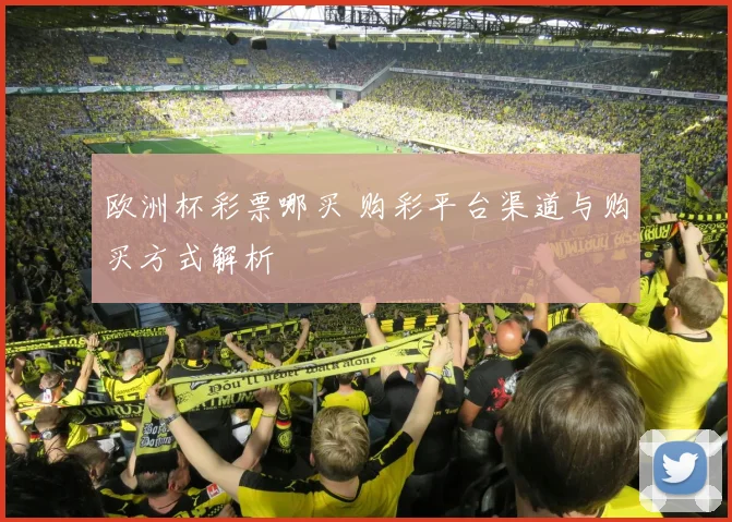 欧洲杯彩票哪买 购彩平台渠道与购买方式解析