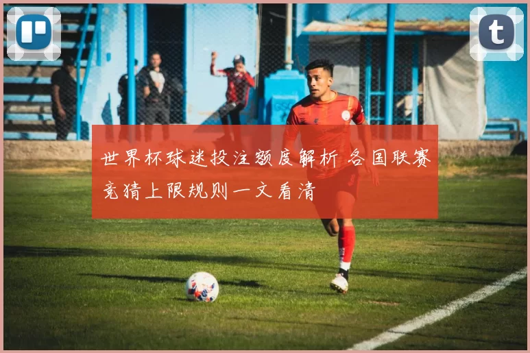 世界杯球迷投注额度解析 各国联赛竞猜上限规则一文看清