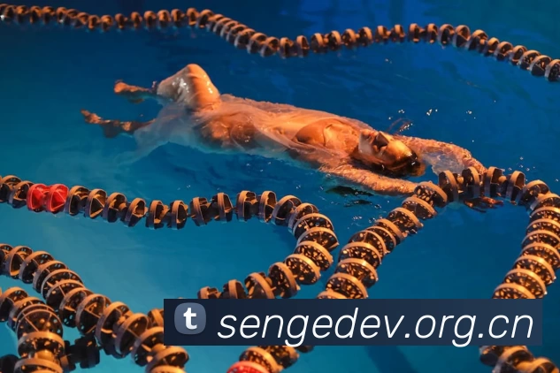 nba2kol官网下载太慢？这些加速小妙招你知道吗！